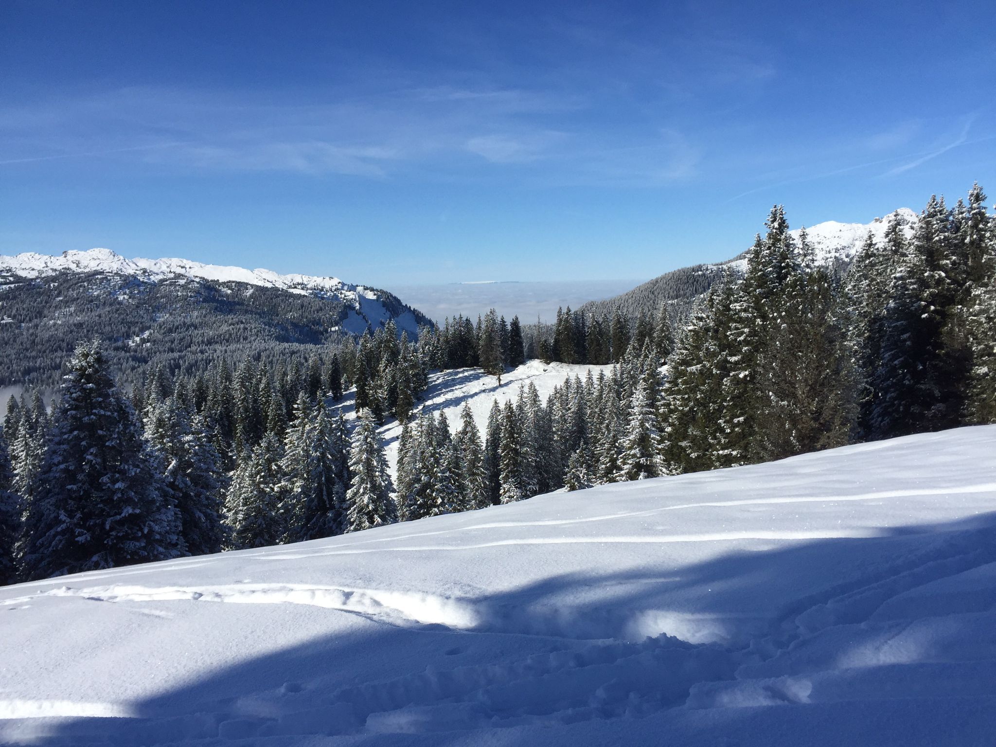 Winterwelt – Clubausflug Dezember 2022